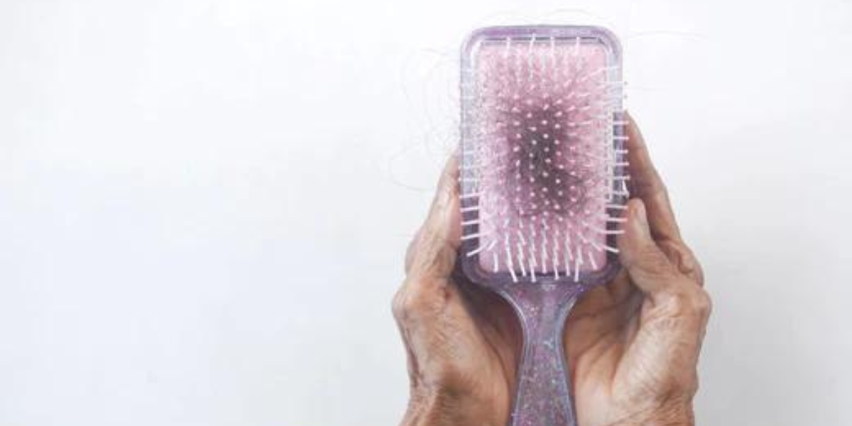cheveux sur une brosse a cheveux