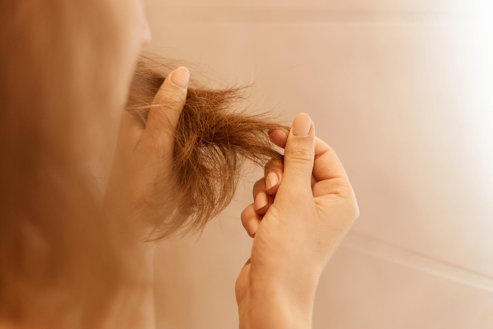 Guide complet des maladies capillaires chez la femme en 2026