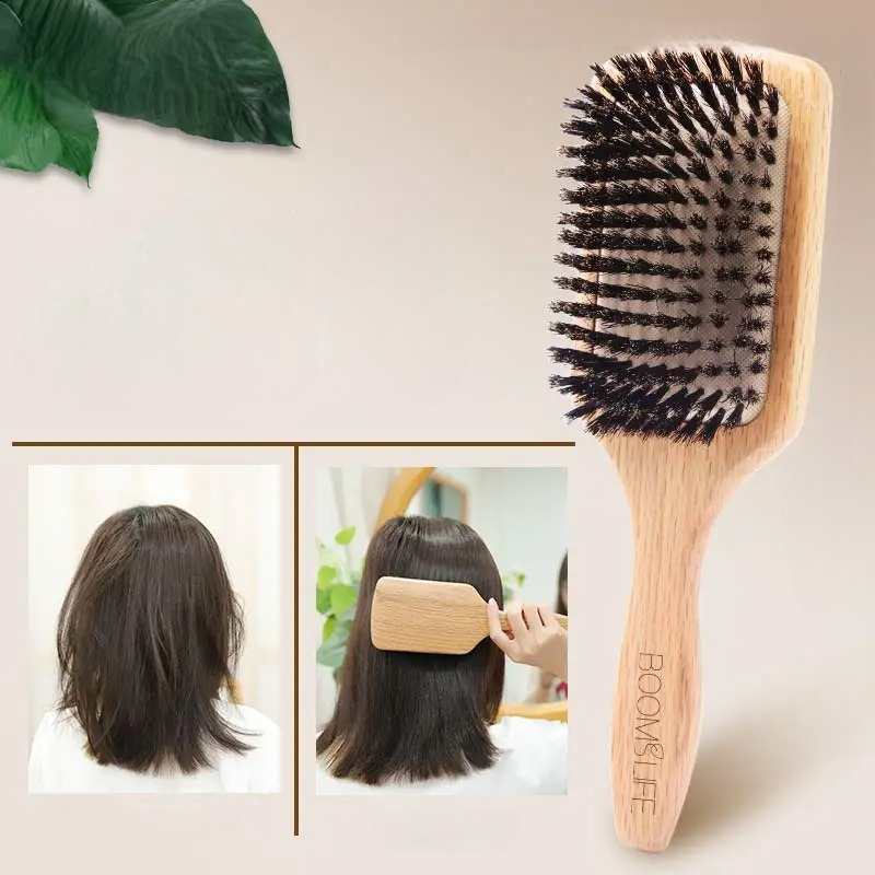 brosse-sanglier