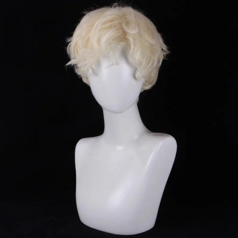 perruque-homme-blanche
